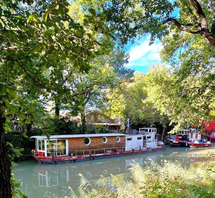 Insolite Peniche Amazonie Canal Du Midi Gardouch ภายนอก รูปภาพ