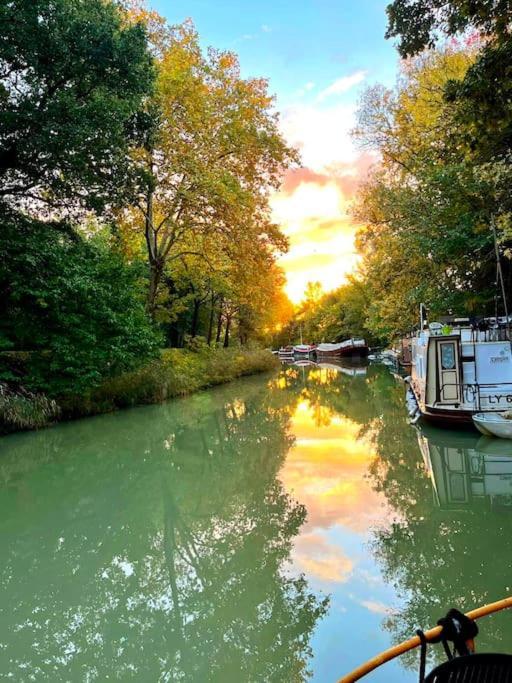 Insolite Peniche Amazonie Canal Du Midi Gardouch ภายนอก รูปภาพ