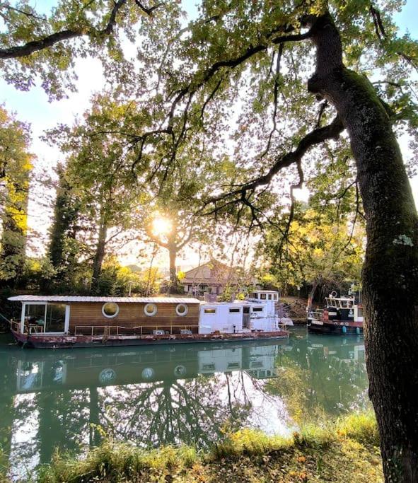 Insolite Peniche Amazonie Canal Du Midi Gardouch ภายนอก รูปภาพ